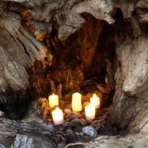 Meet your Posher, Kara